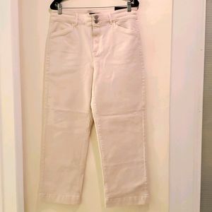 🆕️ANN TAYLOR Jeans